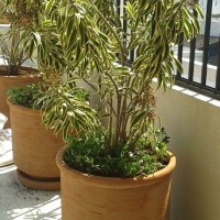 VASO CILINDRO LISO - COR TERRACOTA MANCHADA